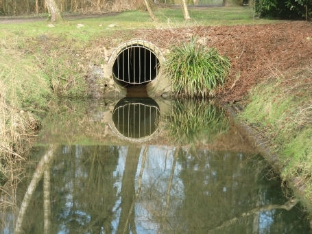 Brüggen : An den Schwalmauen